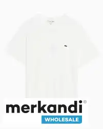 Camiseta LACOSTE modelo TH2038 varios colores
