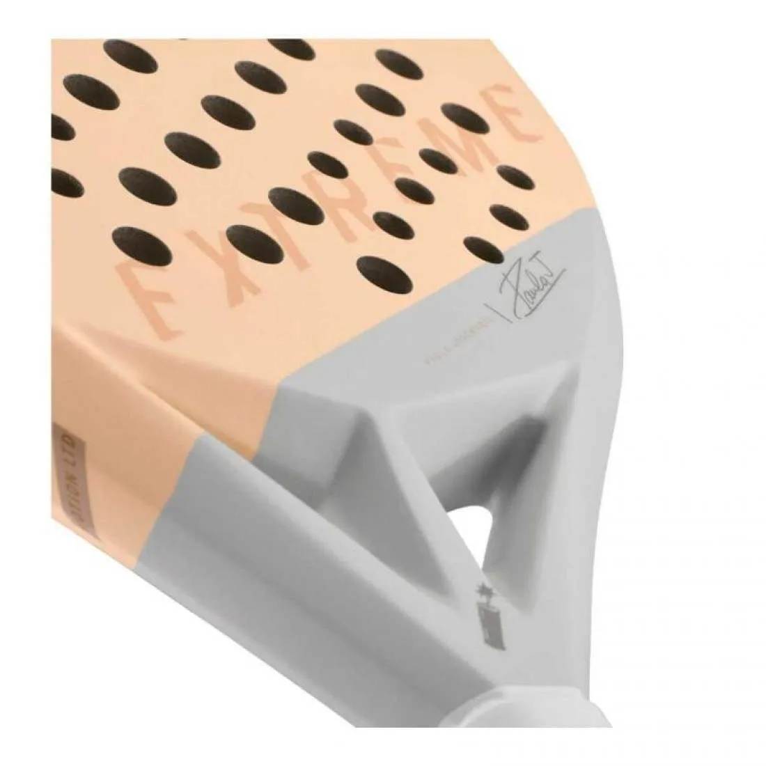 Pala Head Paula Josemaria Extreme Motion 2024 | Head